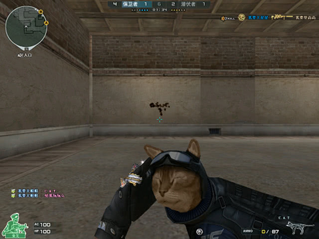 真的会看见 真的会看见