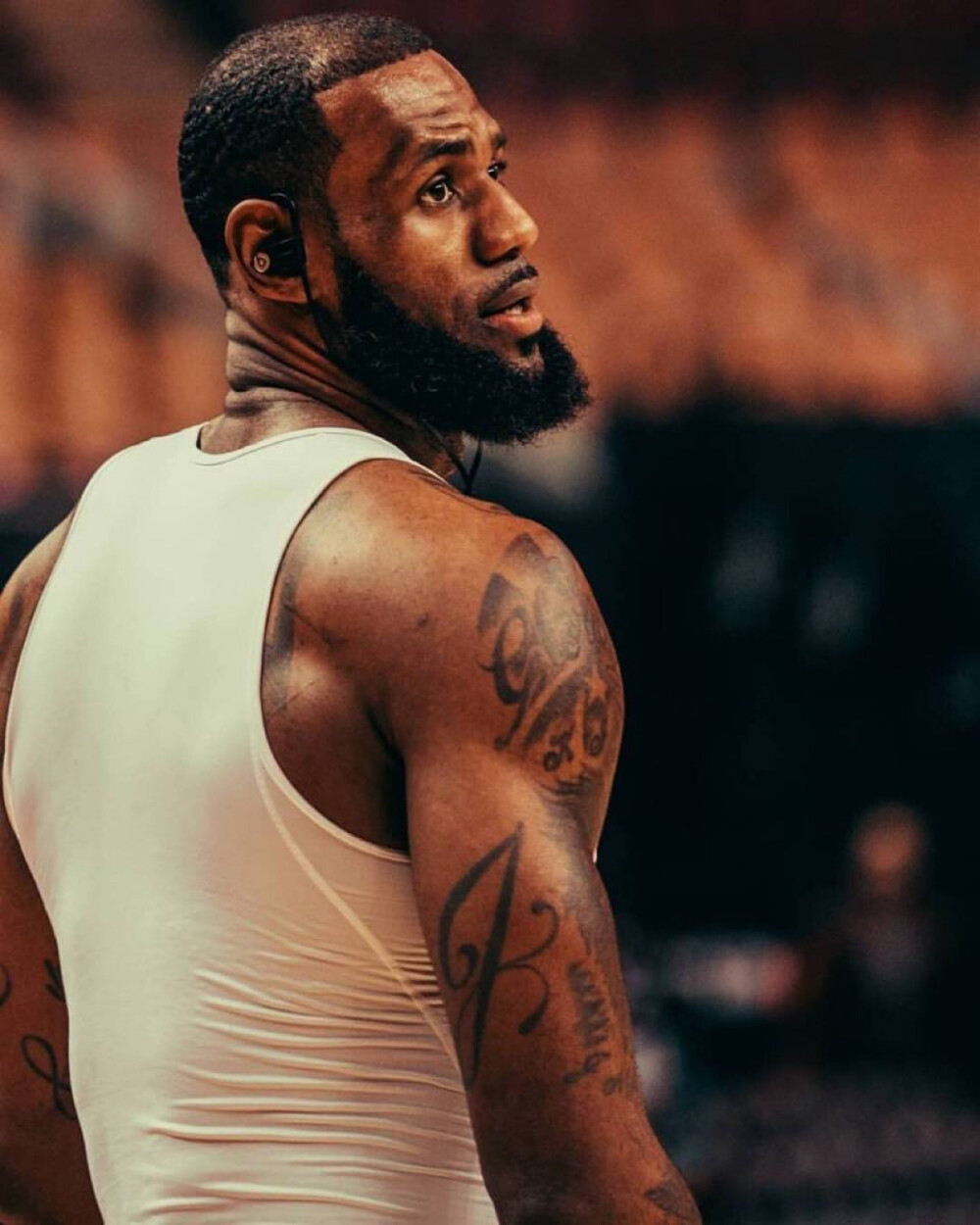 能力为锚 能力为锚